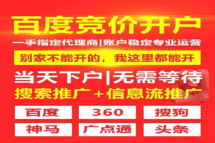 百度竞价推广的技巧与策略：某企业成功案例分享